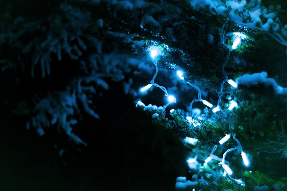Christmas Light Installation community members