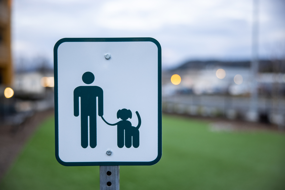 Dog Walking community members
