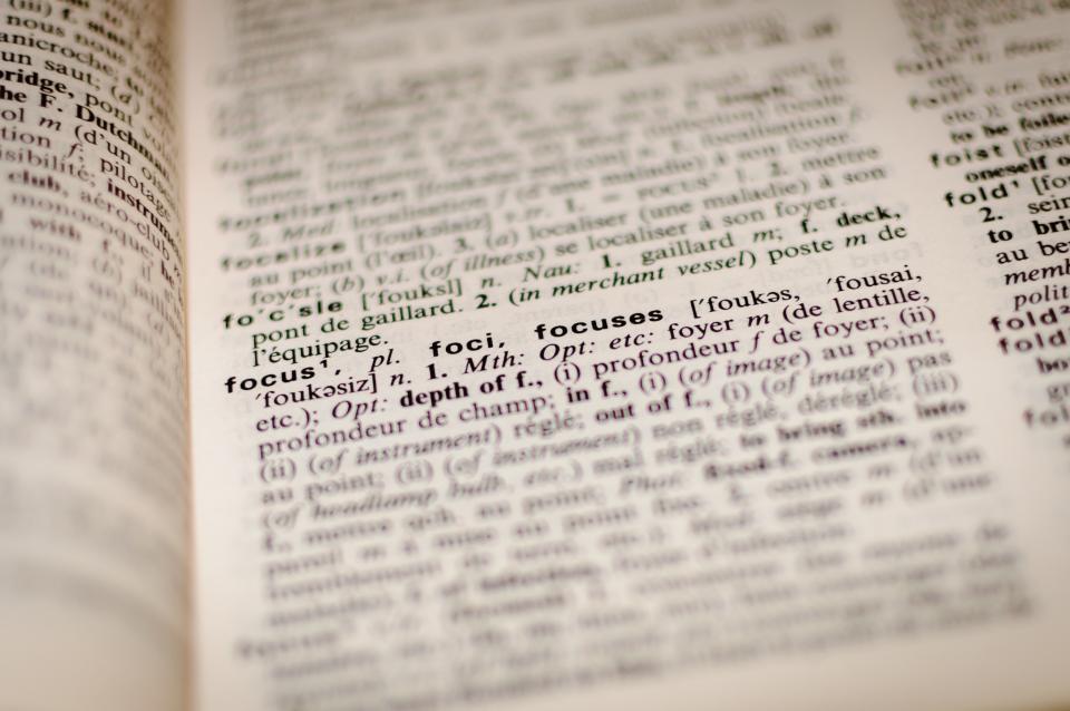Translation community members